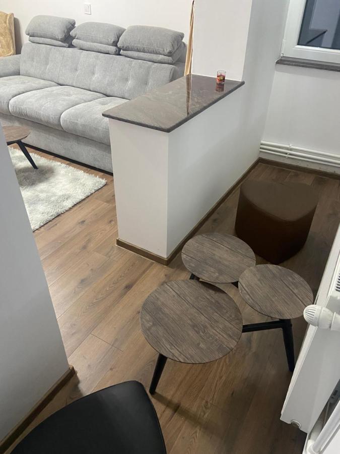 Apartament Eve Câmpulung Moldovenesc Esterno foto